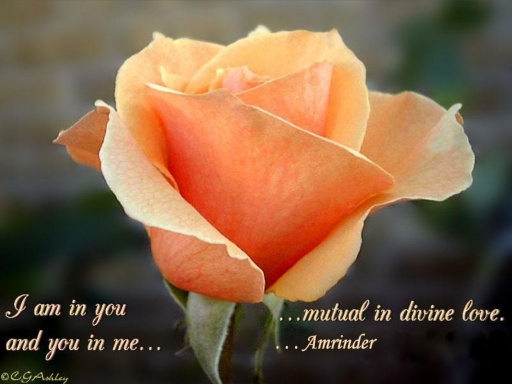 Meaning of Love