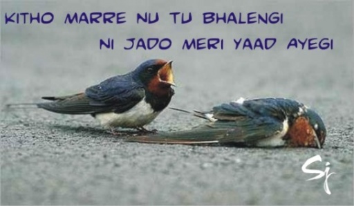kitho mare nu 