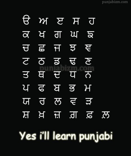 Yes i ll learn punjabi