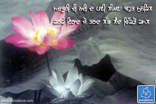 karke irada jo tarda labh lainda chikdon kamal