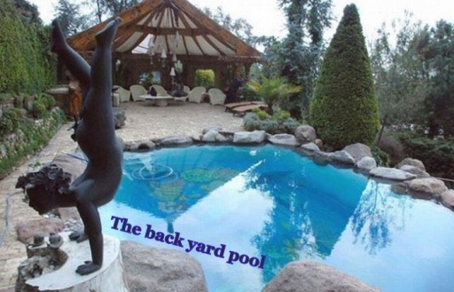 back yard pool