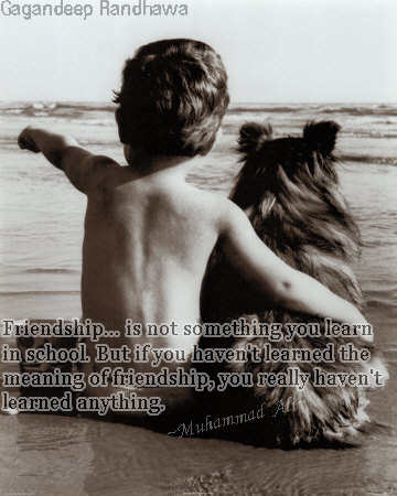 Friendship