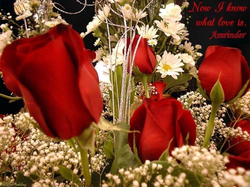 Love