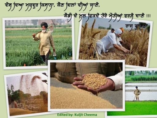 Punjabi farmer